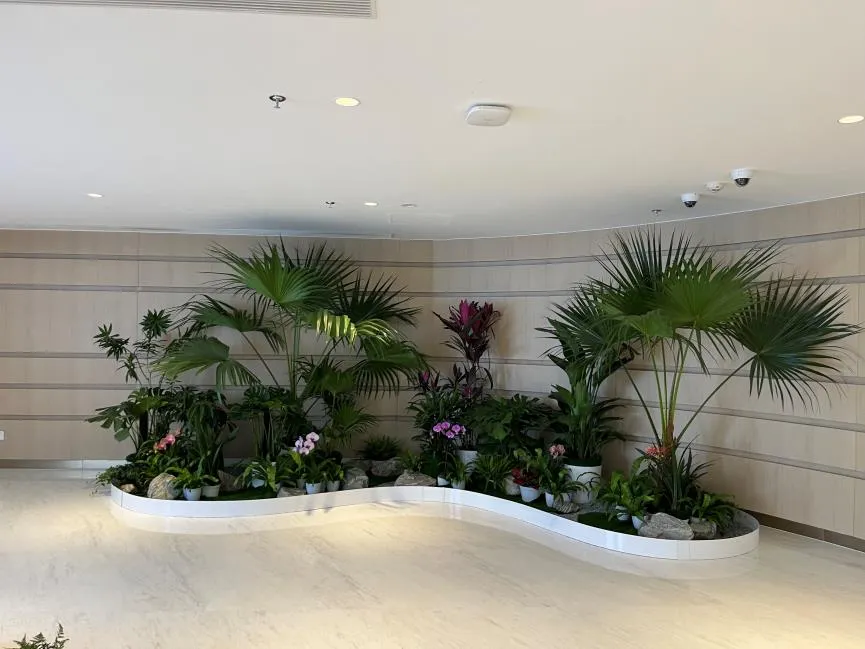 宁波奉化盆景租赁公司，为您打造别样绿色空间